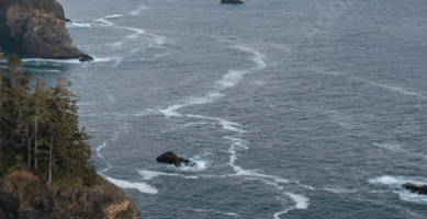 image (90) image (90)