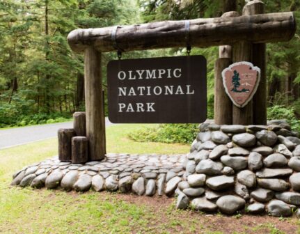 portangeles_olympic portangeles_olympic